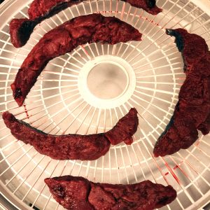 Fourever Placenta Dehydration Dehydrator Dehydrated Powder Raw Start Method TCM Traditional Chinese Medicine Massachusetts CT RI NH