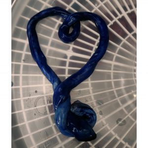 Fourever Umbilical Cord Keepsake Blue Indigo Dyed Colored Massachusetts CT RI NH